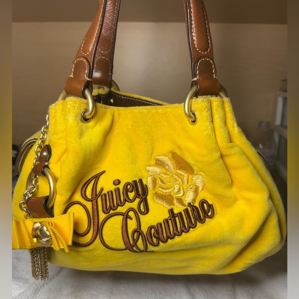 Juicy Couture vintage velvet purse